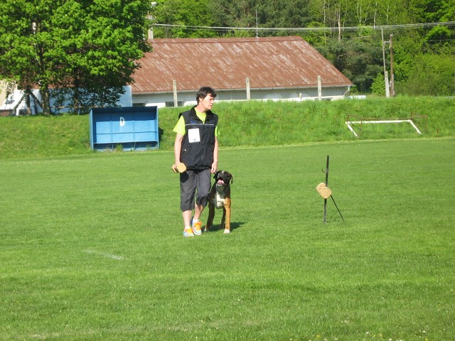 www.atibox.net * www.euroboxer.eu * www.boxergenealogia.eu